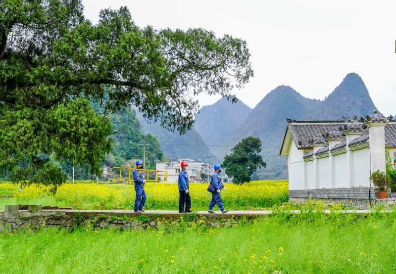 平塘供電局：“網(wǎng)格化”服務(wù)，護航“菜籃子”