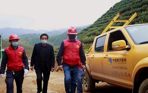 平塘供電局：“加減法”同構(gòu)服務(wù)，護航“貴州春茶第一壺”