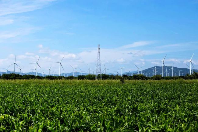 收購墨西哥818MW光伏電站，國家電投境外光伏電站裝機(jī)超6GW