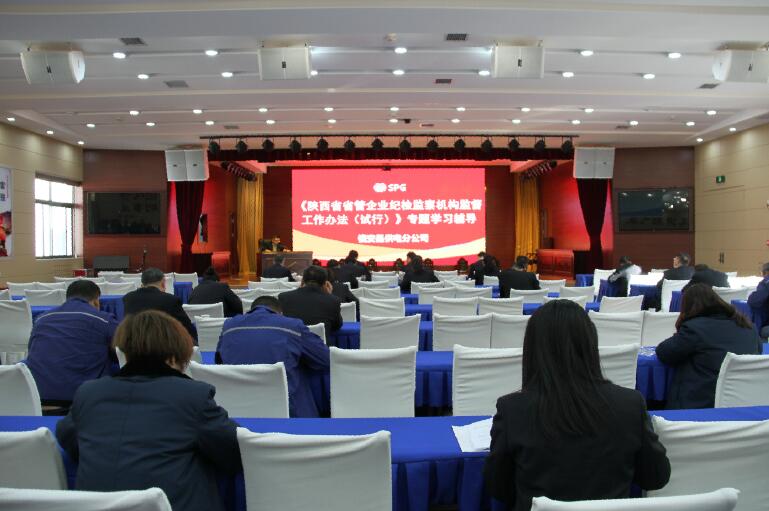 陜西地電鎮(zhèn)安縣供電分公司四項舉措抓實(shí)做細(xì)作風(fēng)建設(shè)主題活動