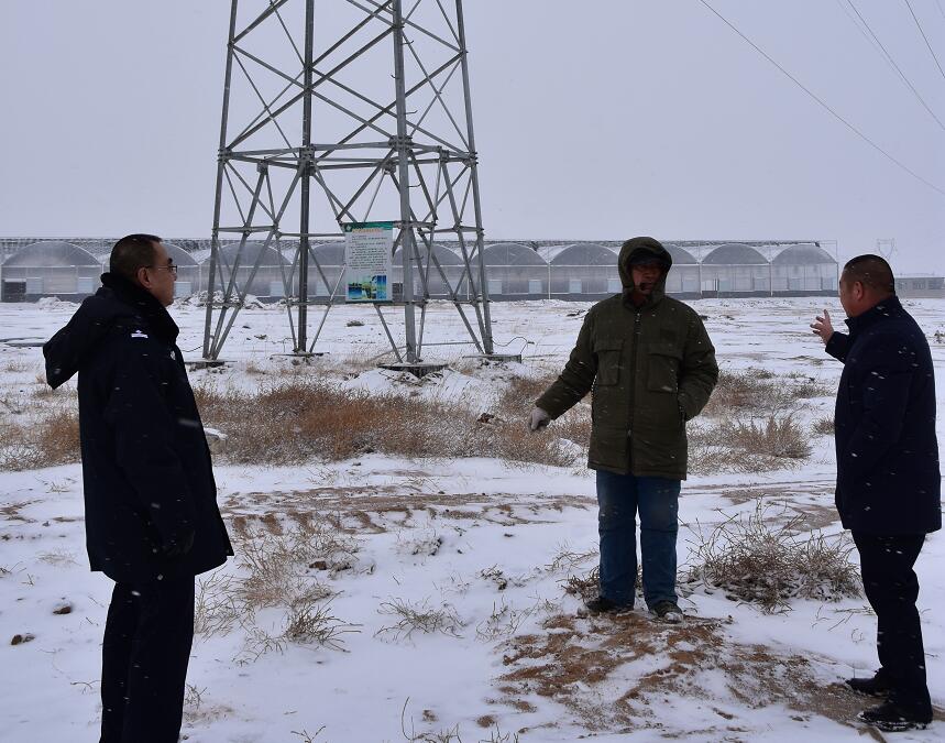 二連浩特供電公司：開展客戶側(cè)安全檢查，確?？诎犊蛻粝楹兔髁吝^春節(jié)