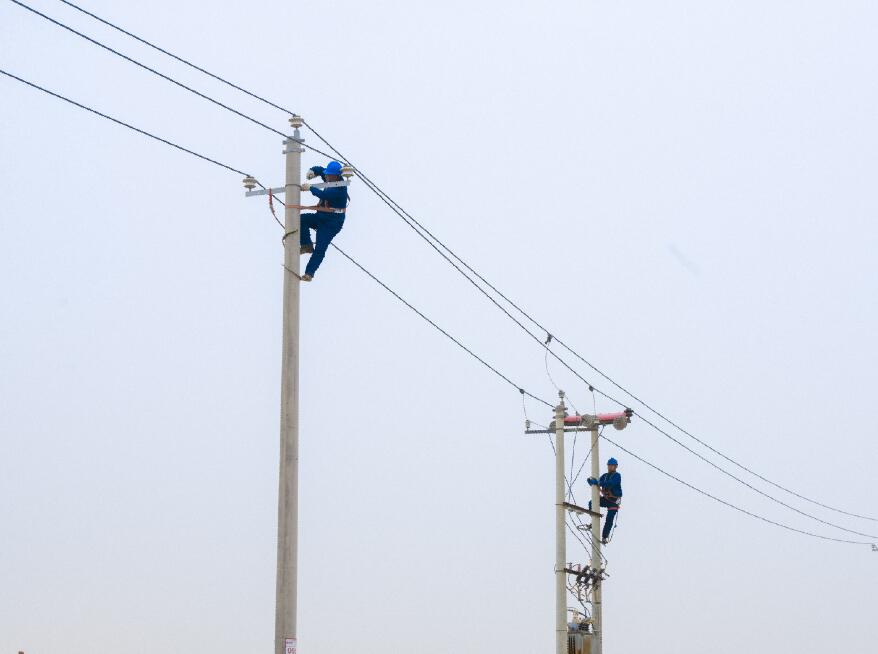 阿拉善供電公司：電網(wǎng)健康“體檢”，從登桿開始