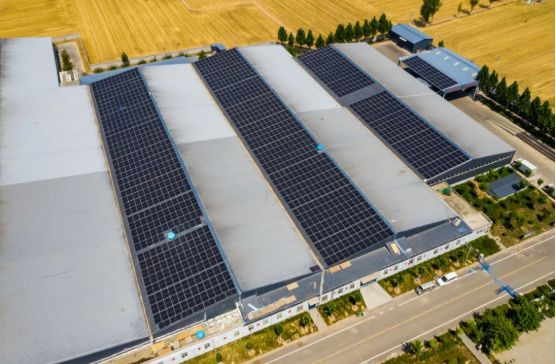 分布式光伏助力企業(yè)低碳轉型！麥田里的陽光工廠，年均生產108萬度綠電！