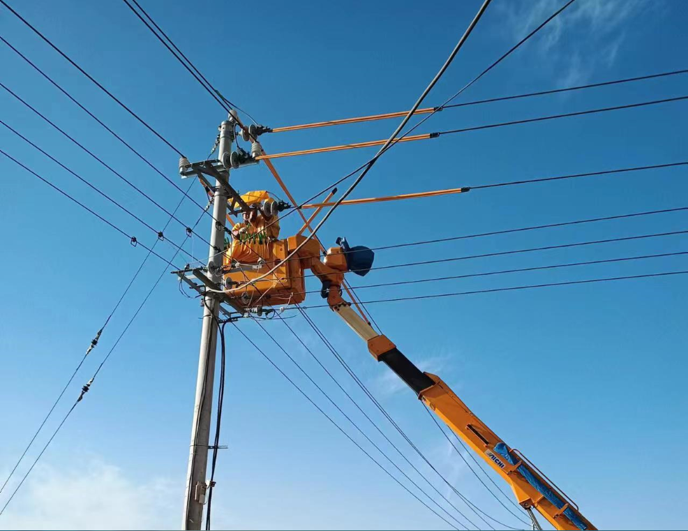 阿拉善供電公司配電帶電作業(yè)處精準(zhǔn)春檢 提供“滿(mǎn)格”電力保障