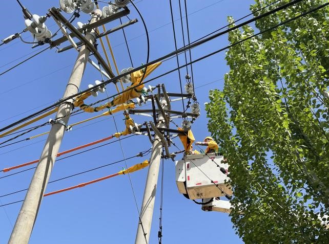 帶電作業(yè)除隱患，安全供電有保障