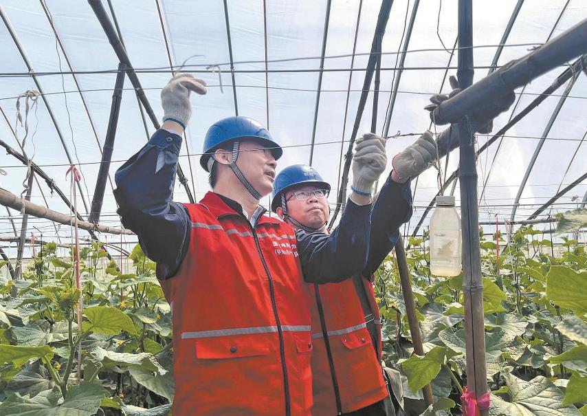 河北辛集：幫忙修復(fù)受損線(xiàn)路 恢復(fù)電氣化大棚用電