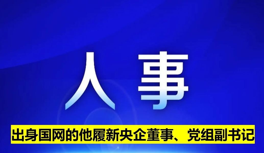 出身國網的他履新央企董事、黨組副書記